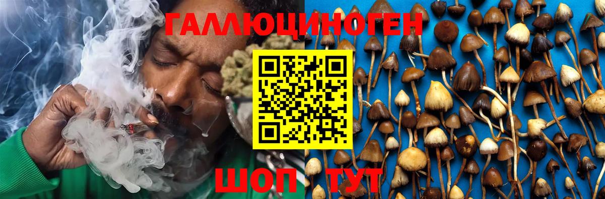 Галлюциногенные грибы прущие грибы  Псилоцибиновые грибы Cubensis  Коряжма 