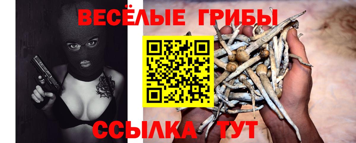 где найти   Вход с VPN  Коряжма  Галлюциногенные грибы мицелий 