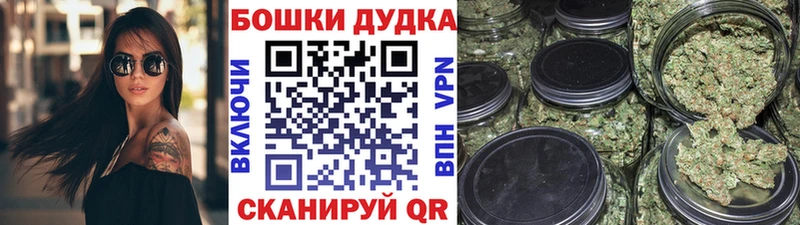 ОМГ ОМГ как войти  Коряжма  Конопля Amnesia 