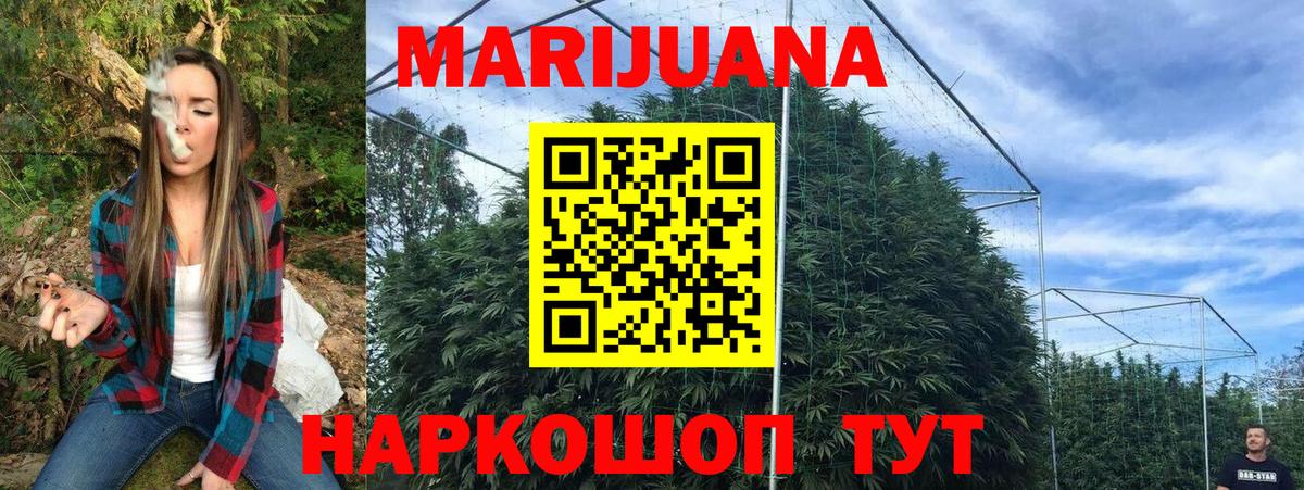Меф Коряжма
